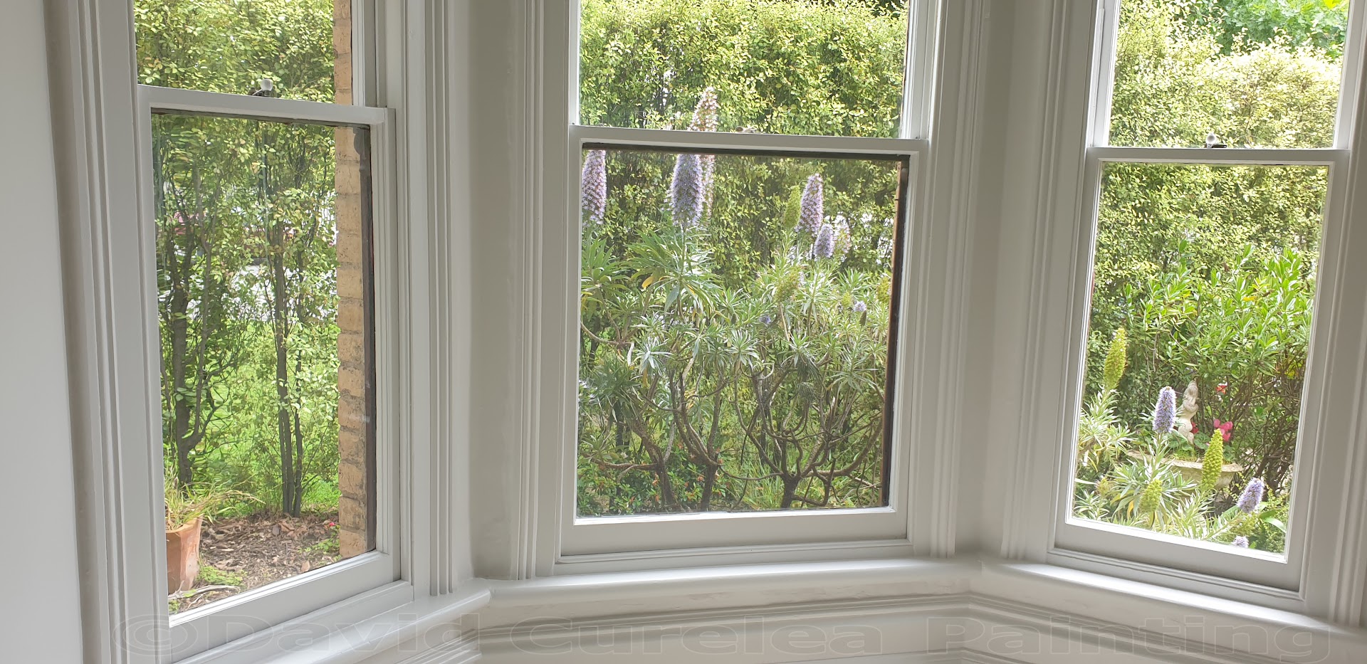 A bay window with painted frames looking onto a garden