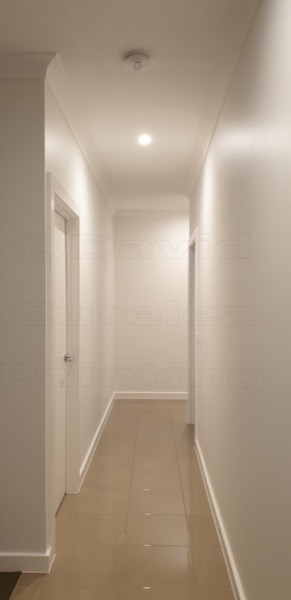 A hallway with painted walls, skirting and doors