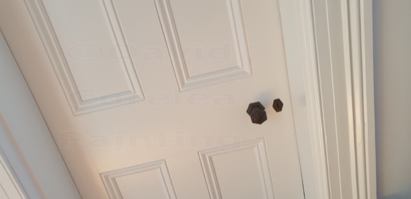 A painted panelled door and architrave