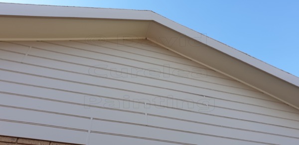 Painted eaves and weatherboard cladding