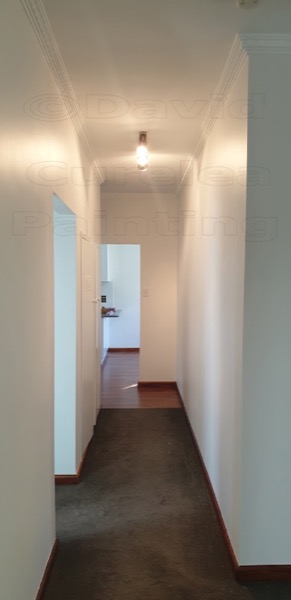 A hallway with painted walls and a doorway beyond