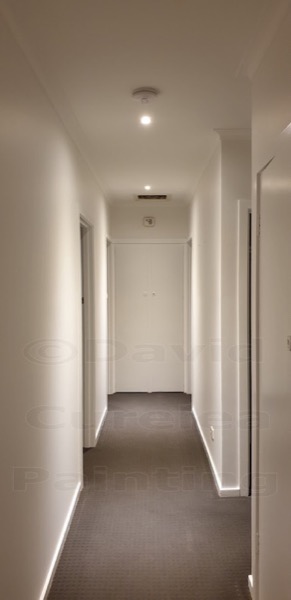 A hallway with painted walls and doors